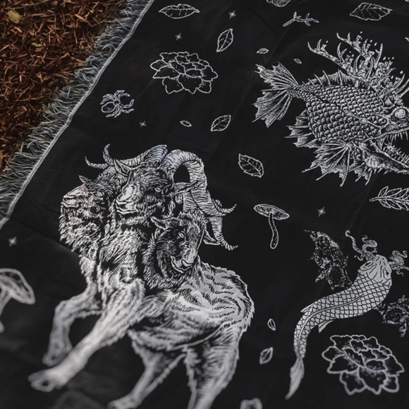 Meet your Posher, Venus - Picture 12 of 16